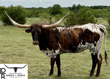 Brazos Betsy 101/21